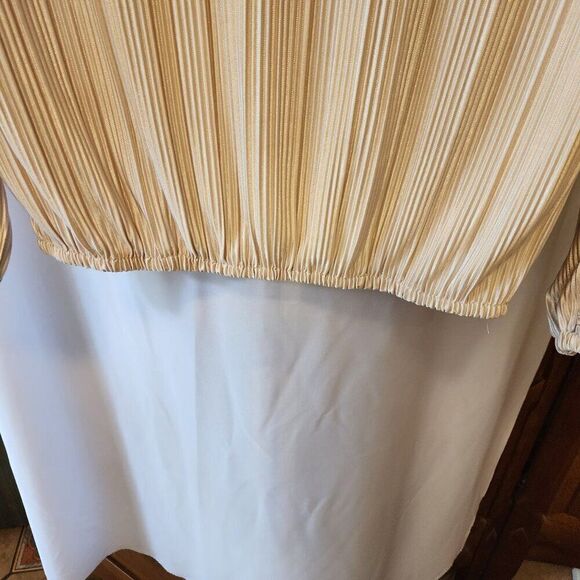 AVA JAMES SIZE MEDIUM CHAMPAGNE BEIGE LONG SLEEVE BLOUSE, HAS SHIMMER - Picture 3 of 7